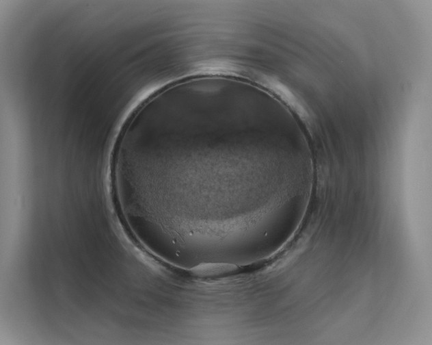 X0000112161331200908071130