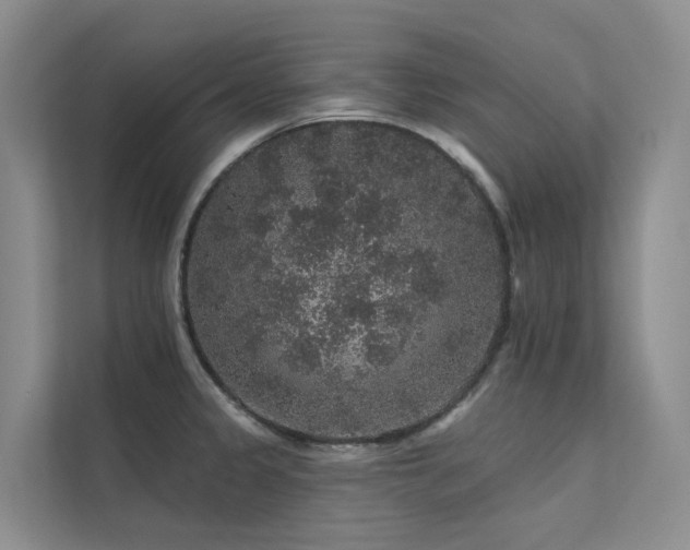X0000112161333200908071130