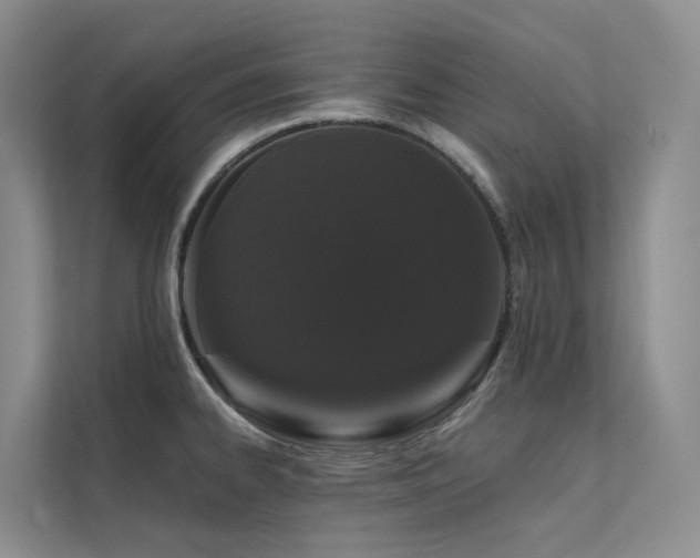 X0000112161334200908071130