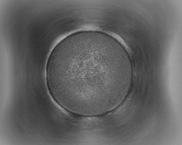 X0000112161335200908071130