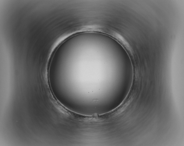 X0000112161336200908071130
