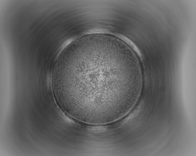 X0000112161337200908071130