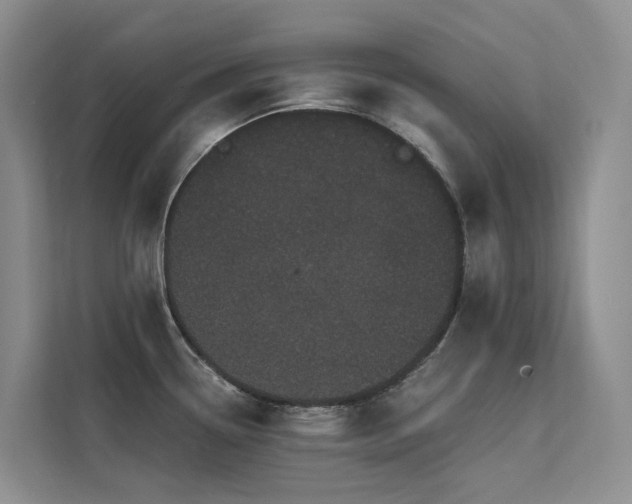 X0000112161338200908071130