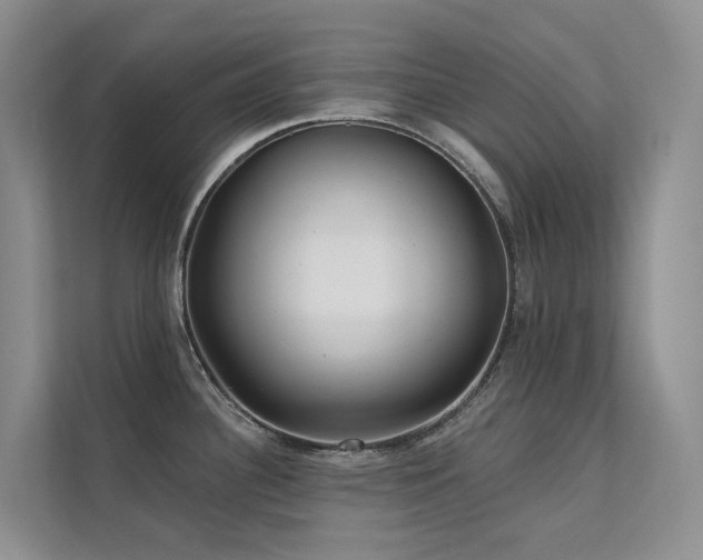 X0000112161340200908071130