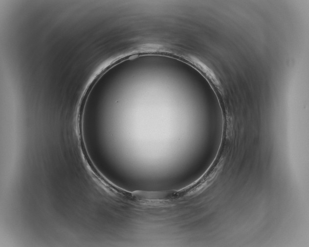 X0000112161342200908071130