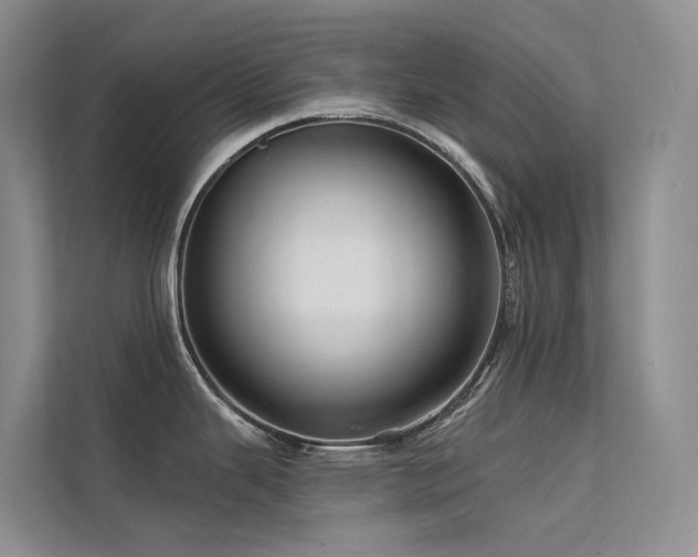 X0000112161343200908071130
