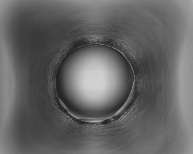 X0000112161345200908071130