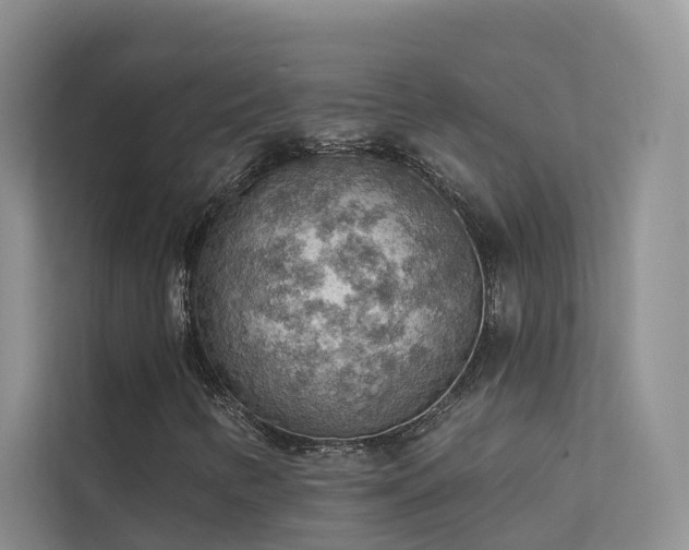 X0000112161346200908071130