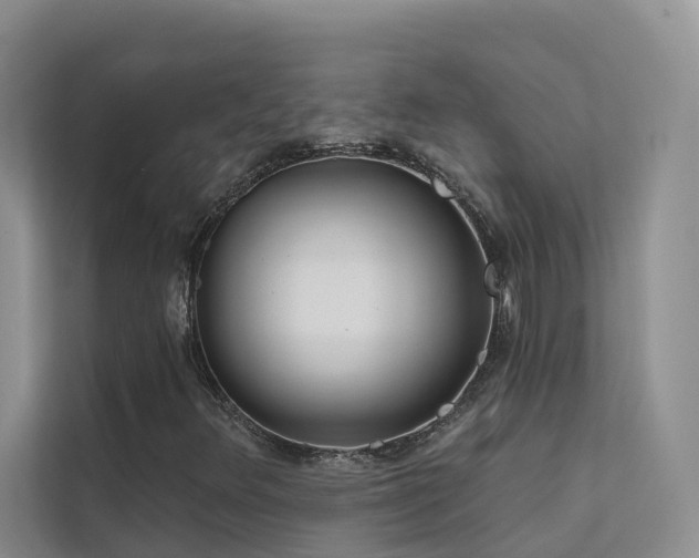 X0000112161348200908071130