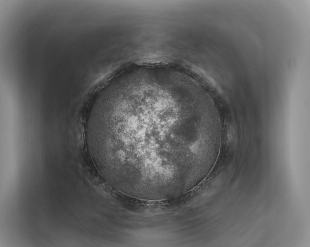 X0000112161350200908071130