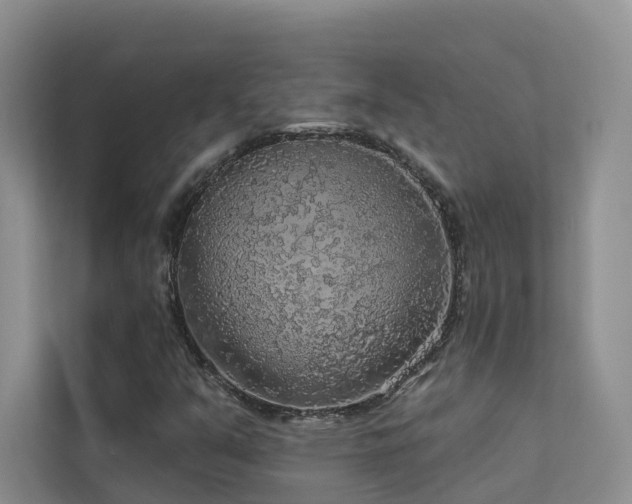 X0000112161351200908071130