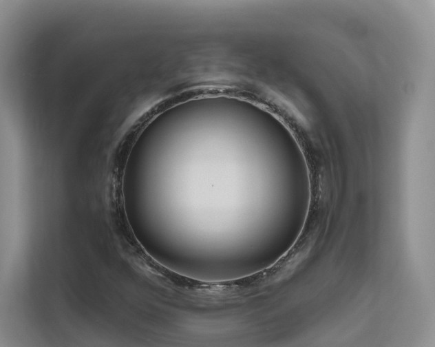 X0000112161352200908071130