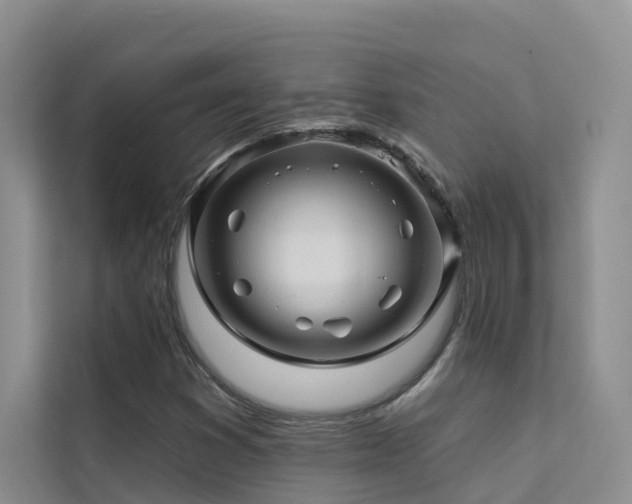 X0000112161353200908071130