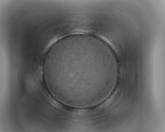 X0000112161355200908071130