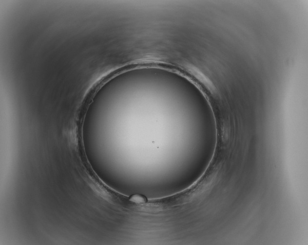 X0000112161356200908071130