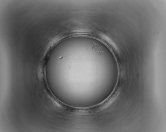 X0000112161357200908071130