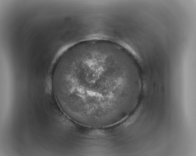 X0000112161358200908071130