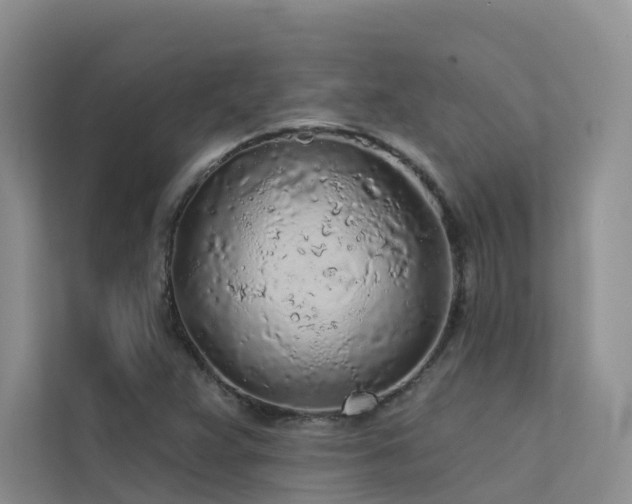 X0000112161359200908071130