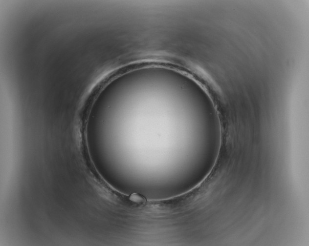 X0000112161360200908071130