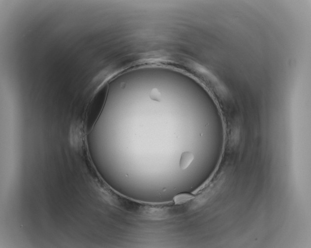 X0000112161361200908071130