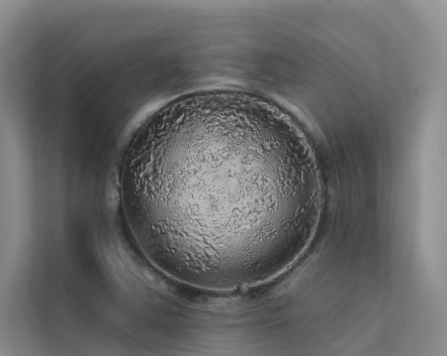 X0000112161363200908071130