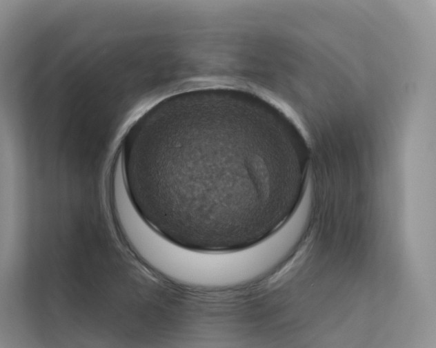 X0000112161365200908071130