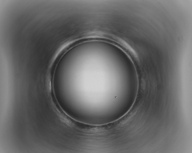 X0000112161368200908071130