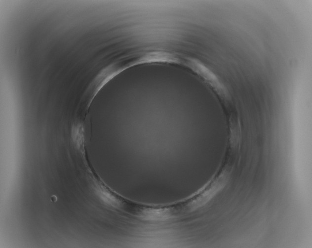 X0000112161369200908071129