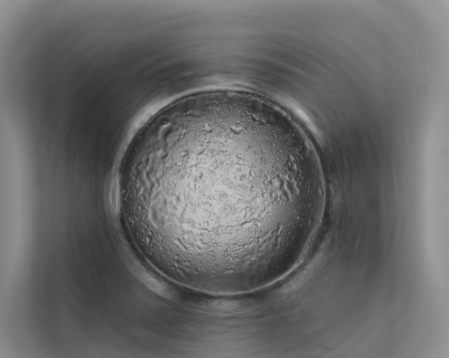 X0000112161371200908071129