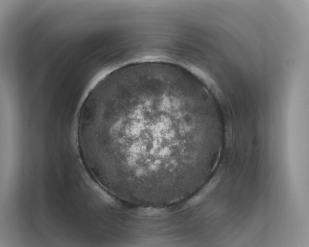 X0000112161374200908071129