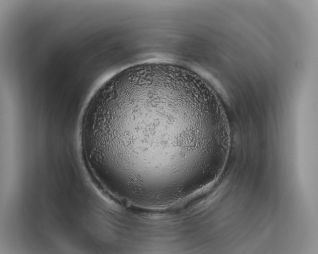 X0000112161375200908071129
