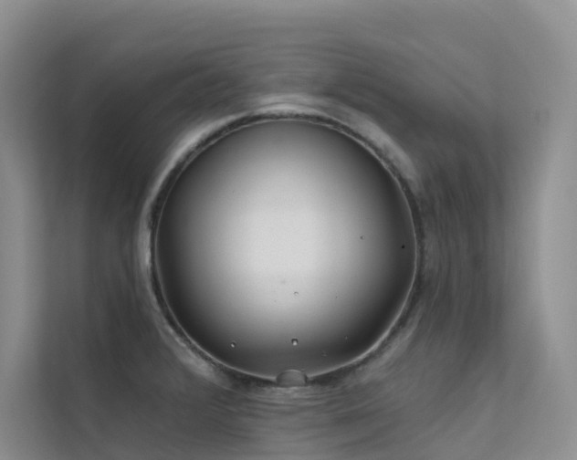 X0000112161376200908071129