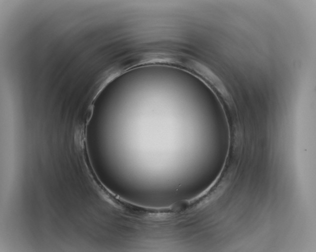 X0000112161377200908071129