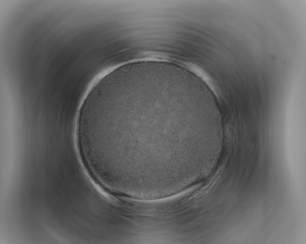 X0000112161379200908071129