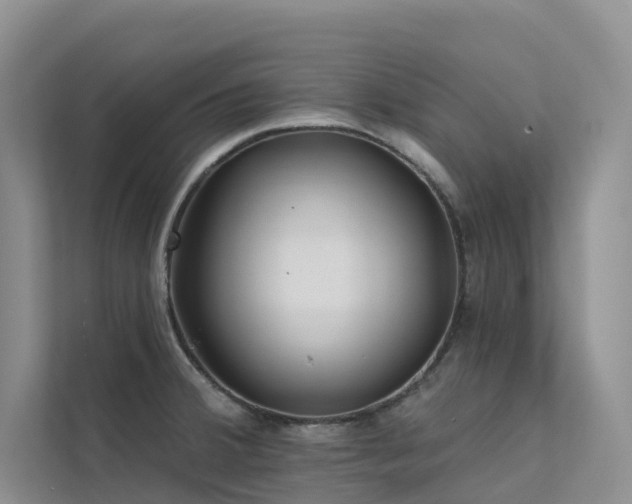 X0000112161380200908071129