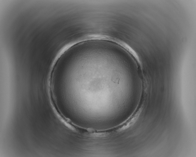 X0000112161381200908071129