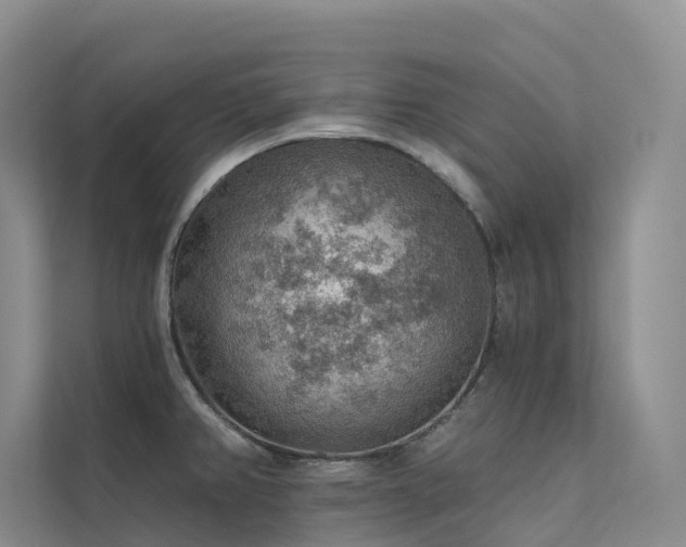 X0000112161382200908071129