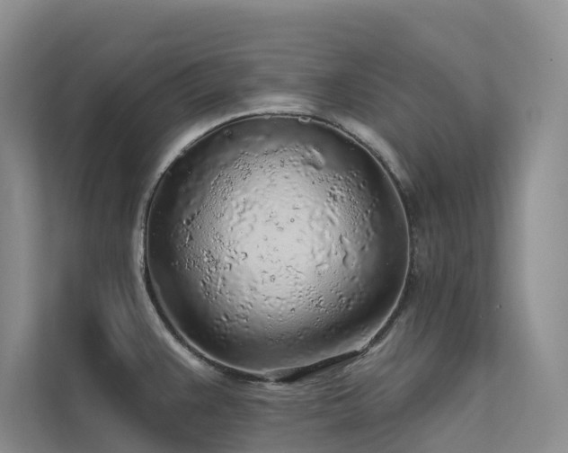 X0000112161383200908071129