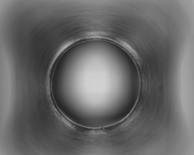 X0000112161384200908071129