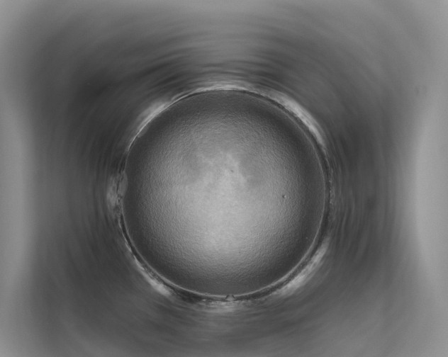 X0000112161385200908071129