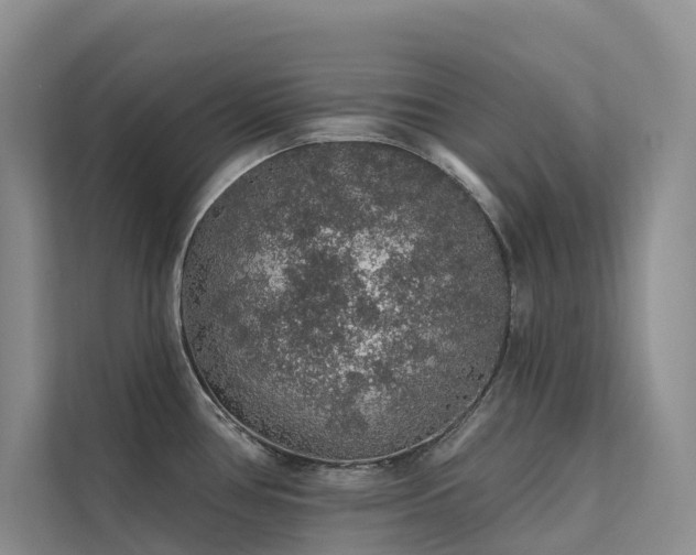 X0000112161386200908071129