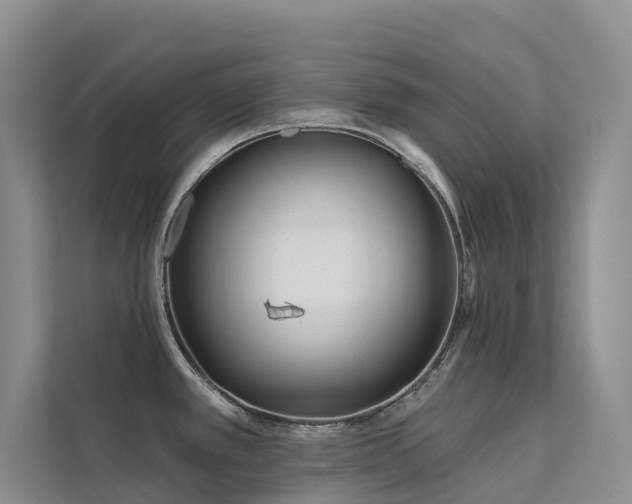 X0000112161389200908071129