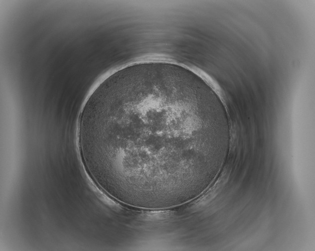 X0000112161390200908071129