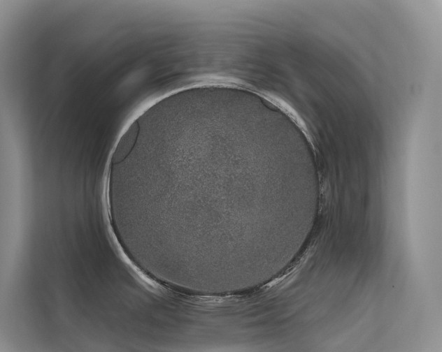 X0000112161391200908071129