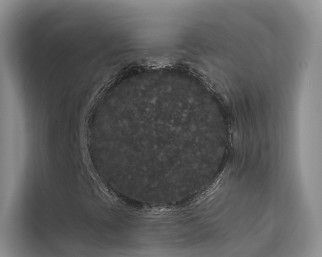 X0000112161393200908071129