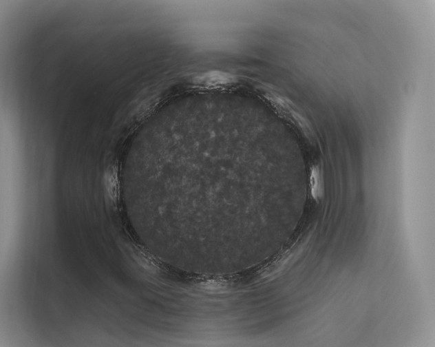 X0000112161395200908071129