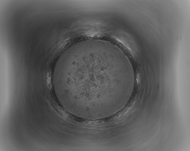 X0000112161396200908071129