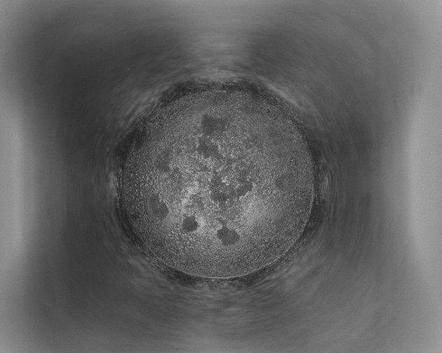 X0000112161397200908071129