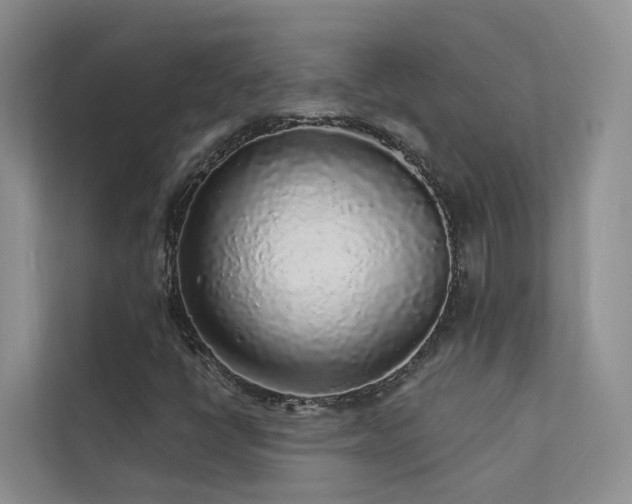 X0000112161398200908071129
