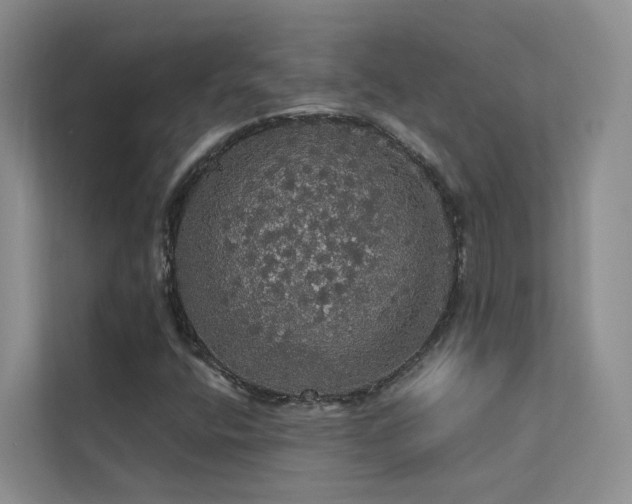 X0000112161400200908071129
